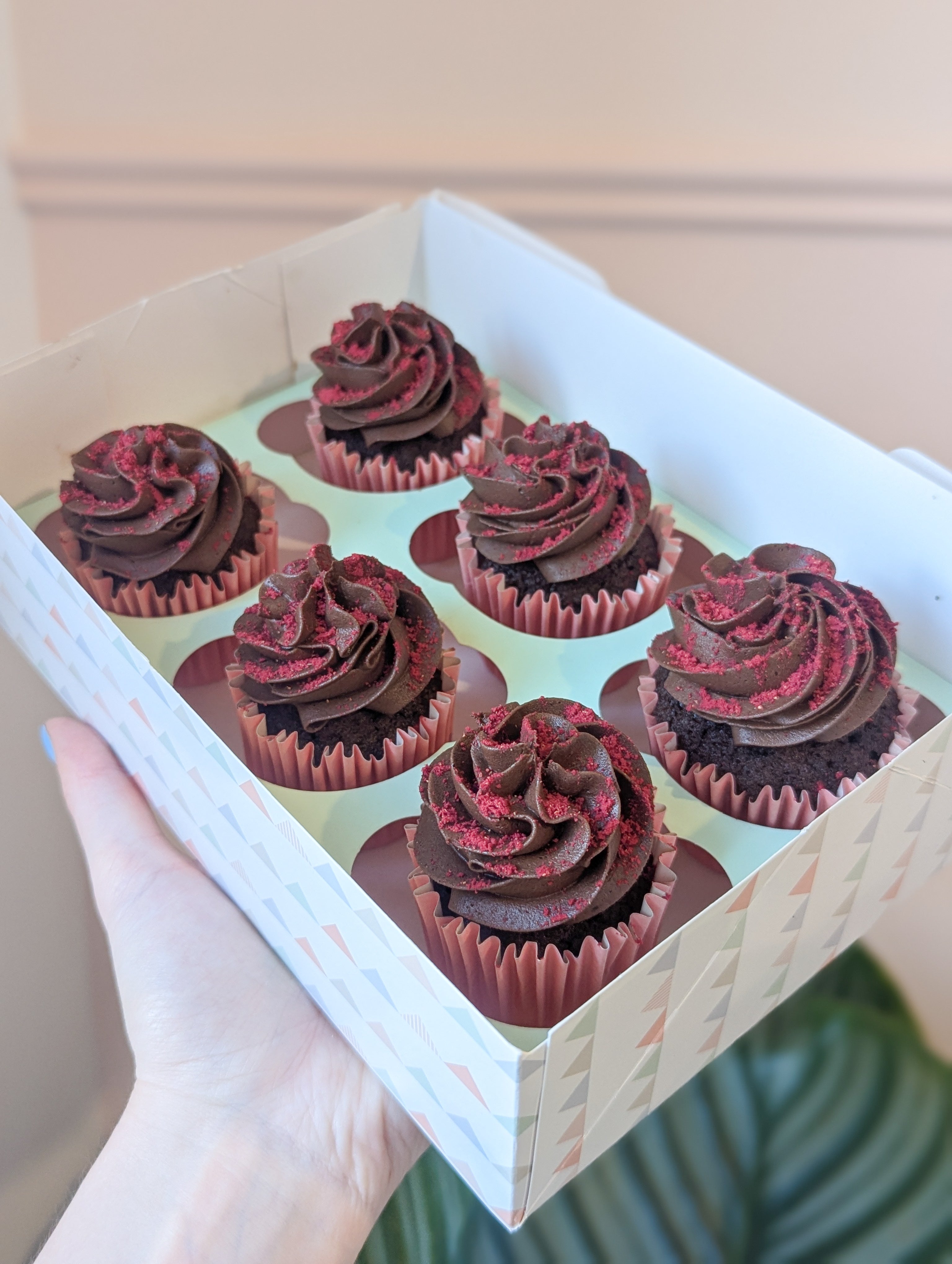 Chocolate Cupcakes